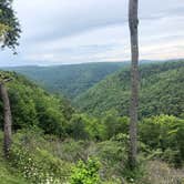 Review photo of Blackwater Falls State Park Campground by Henry R., August 23, 2020