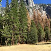 Review photo of Wawona Campground — Yosemite National Park by Lindsay B., May 6, 2018