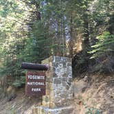 Review photo of Wawona Campground — Yosemite National Park by Lindsay B., May 6, 2018
