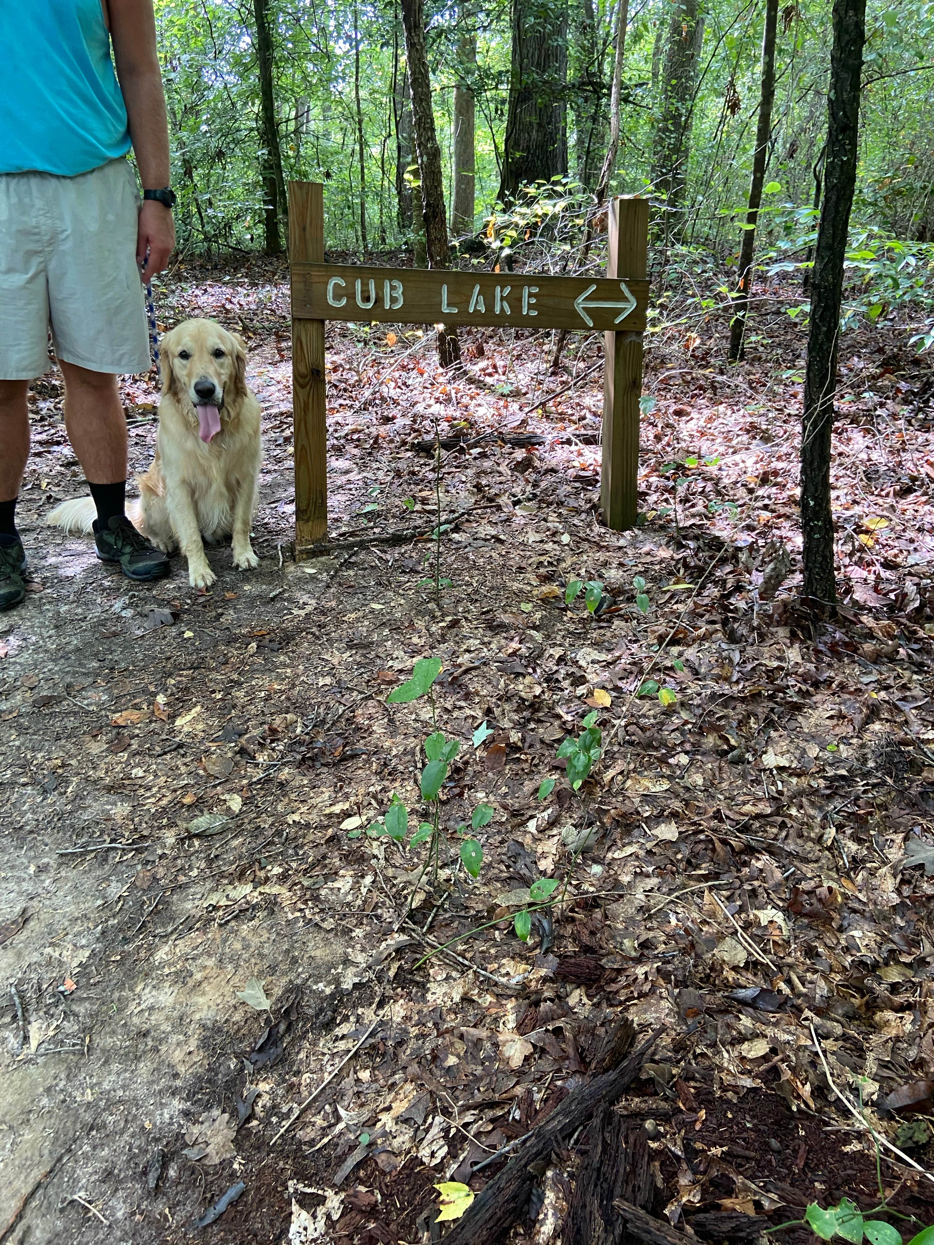 Camper submitted image from Natchez Trace RV Park - 1