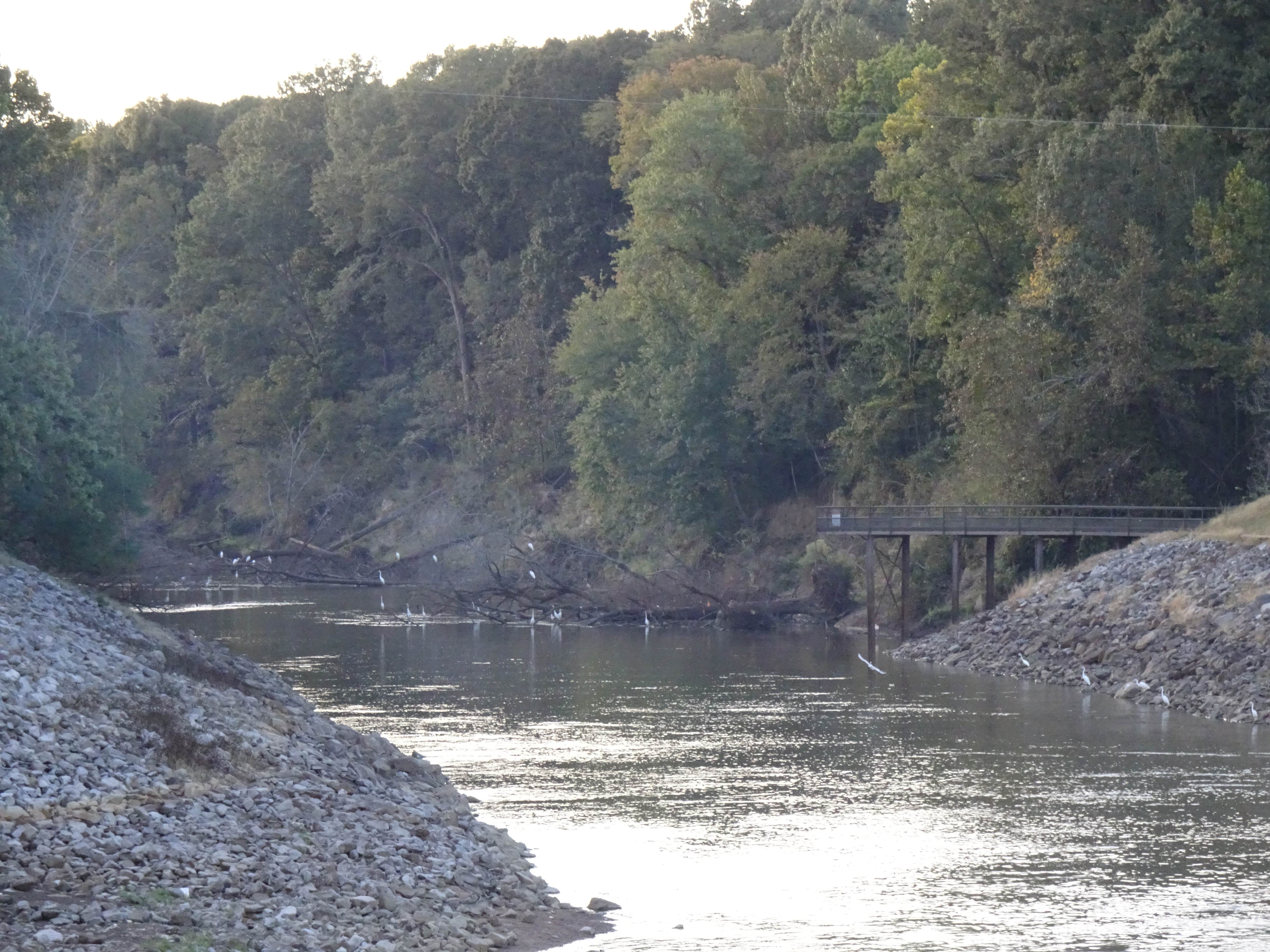 Camper-submitted photo at Dub Patton Campground near Memphis, TN
