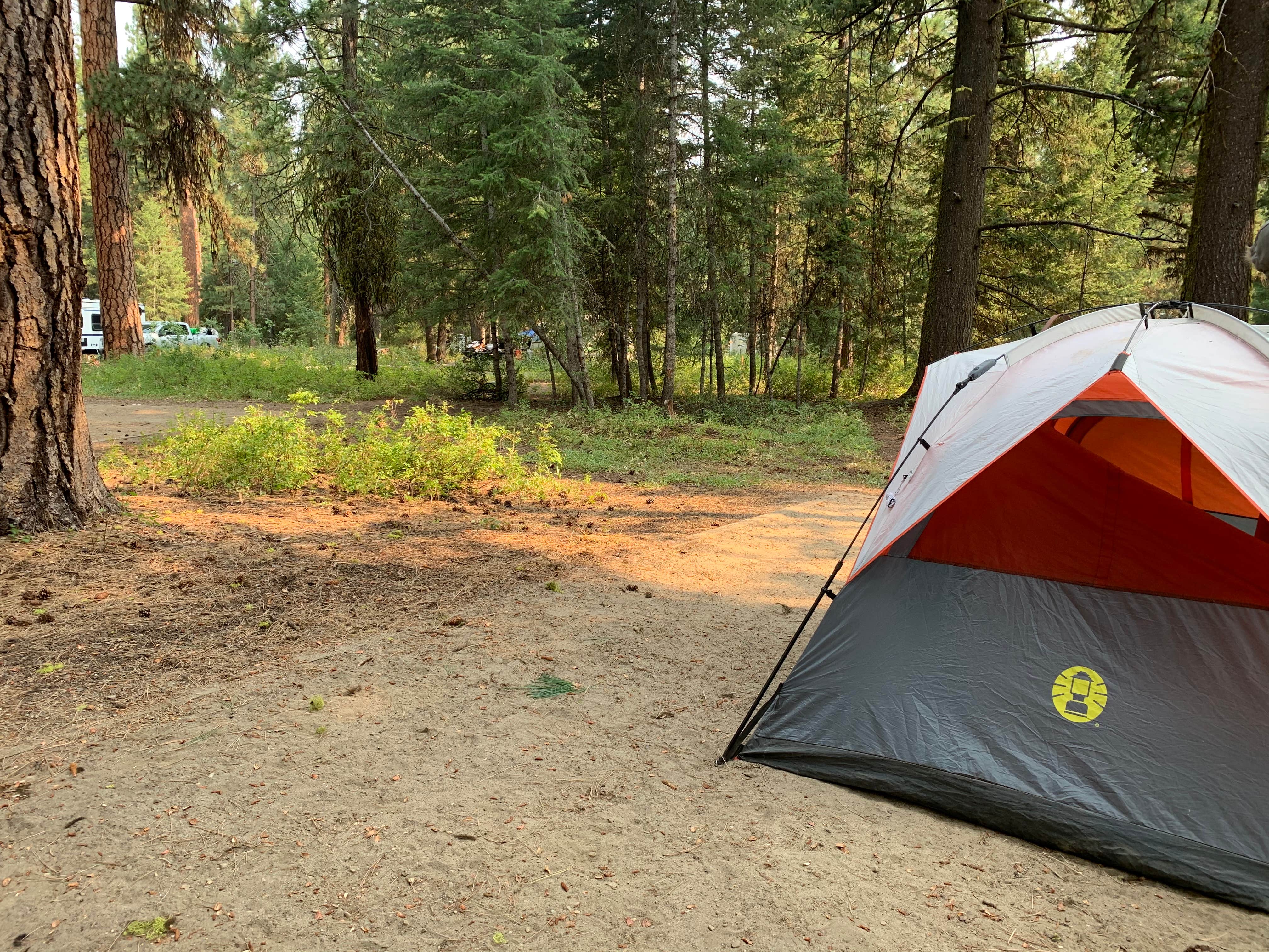 Mike L.'s photo at Peninsula Campground — Ponderosa State Park near Lake Fork, ID