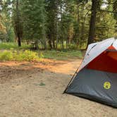 Review photo of Peninsula Campground — Ponderosa State Park by Mike L., August 23, 2020