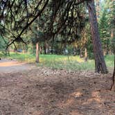 Review photo of Peninsula Campground — Ponderosa State Park by Mike L., August 23, 2020