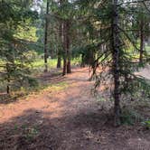 Review photo of Peninsula Campground — Ponderosa State Park by Mike L., August 23, 2020