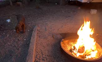 Mike L.'s photo of camping with pets at Peninsula Campground — Ponderosa State Park near New Meadows, ID