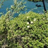 Review photo of Turtle Rock RV Resort by Ioan P., August 23, 2020