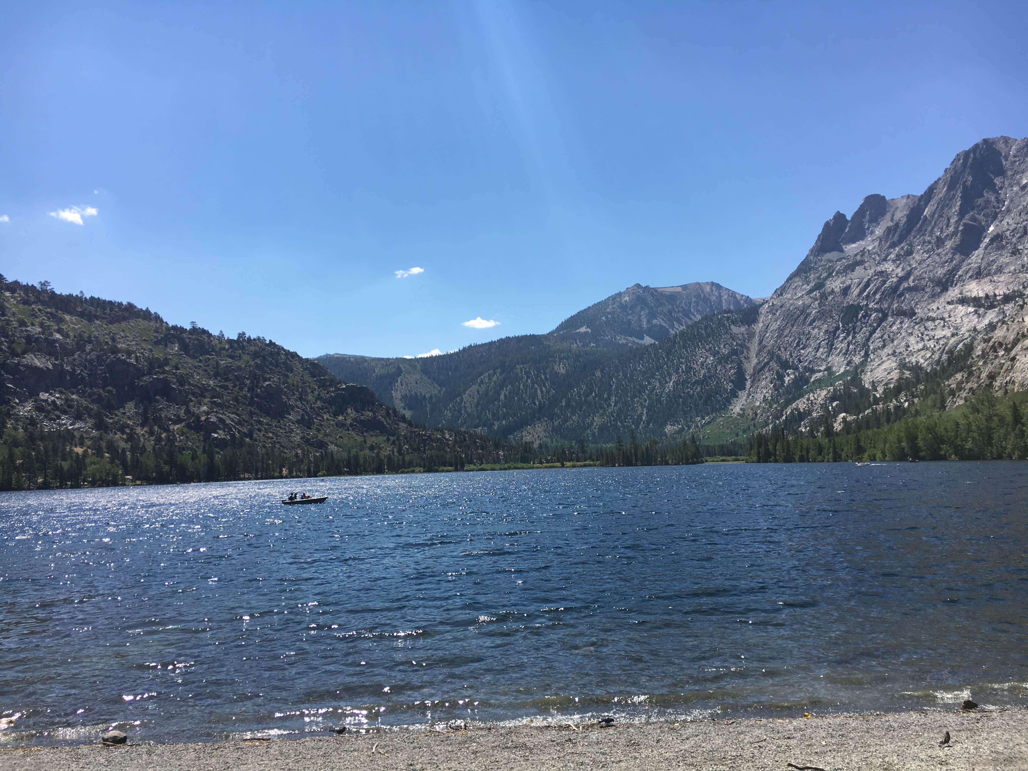 Camper submitted image from June Lake Campground - 3