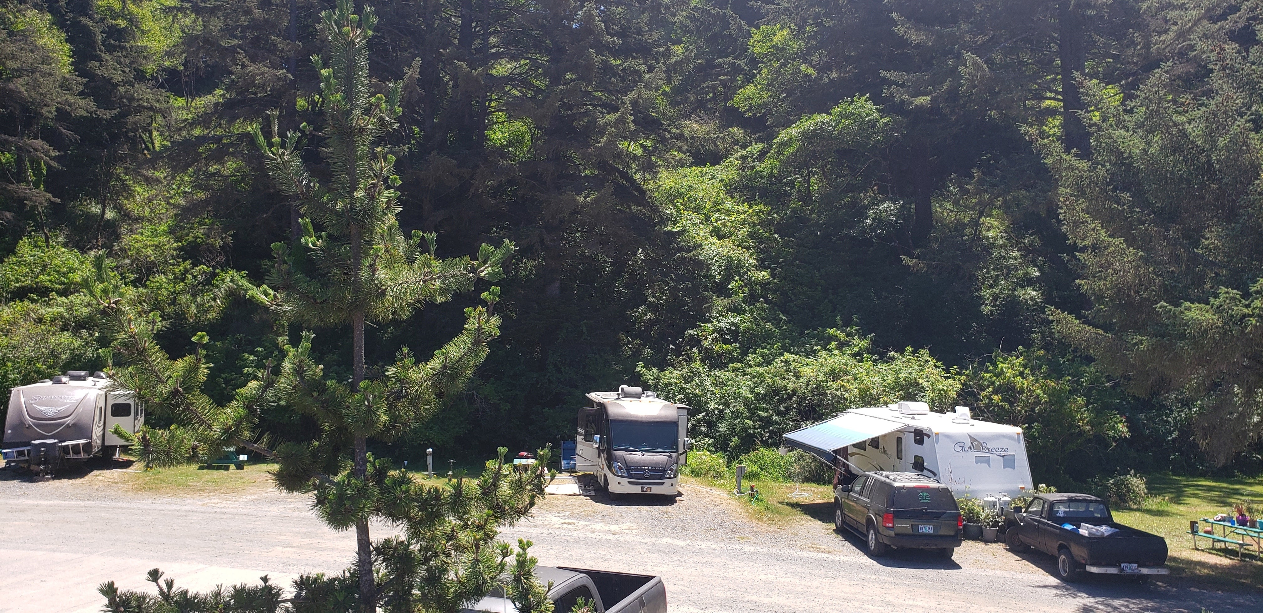 Camper submitted image from Turtle Rock RV Resort - 4
