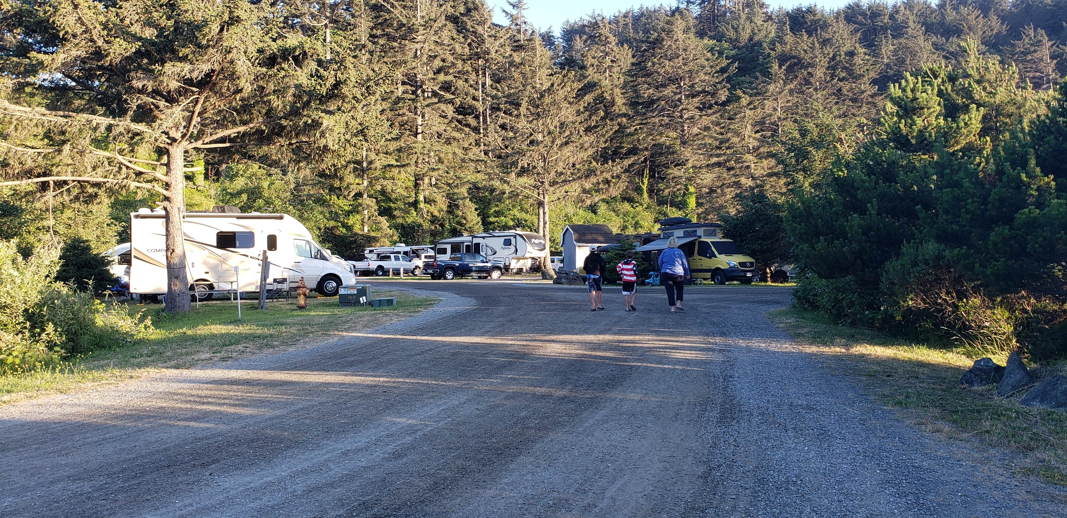 Ioan P.'s photo of rv camping at Turtle Rock RV Resort near Brookings, OR