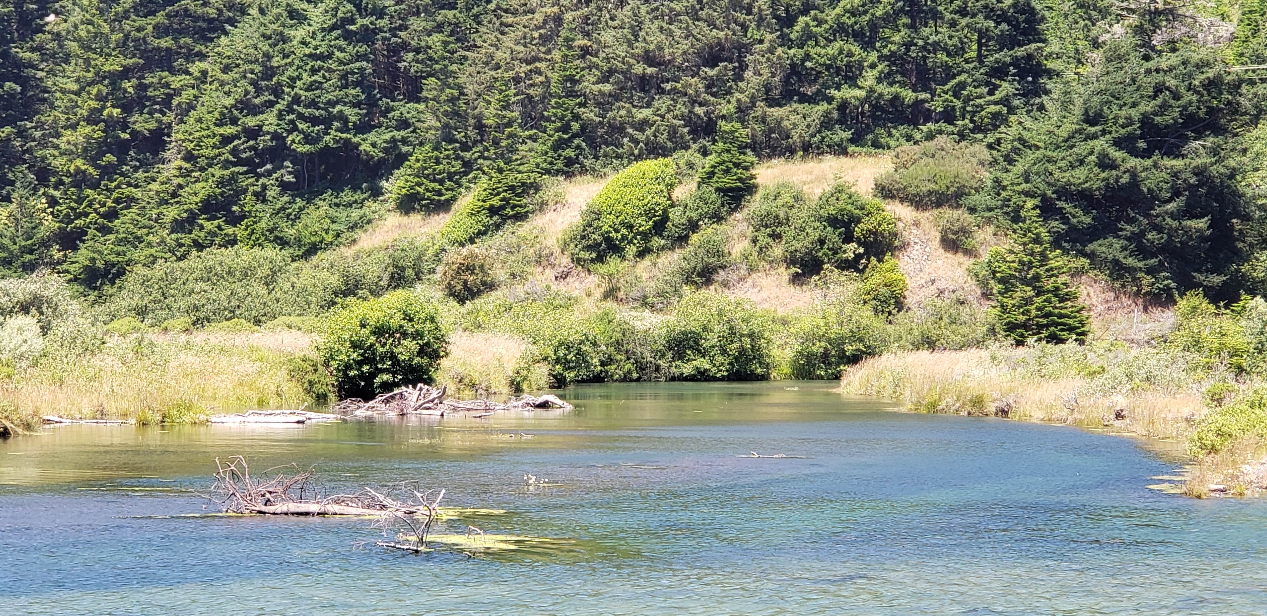 Camper-submitted photo at Turtle Rock RV Resort near Agness, OR