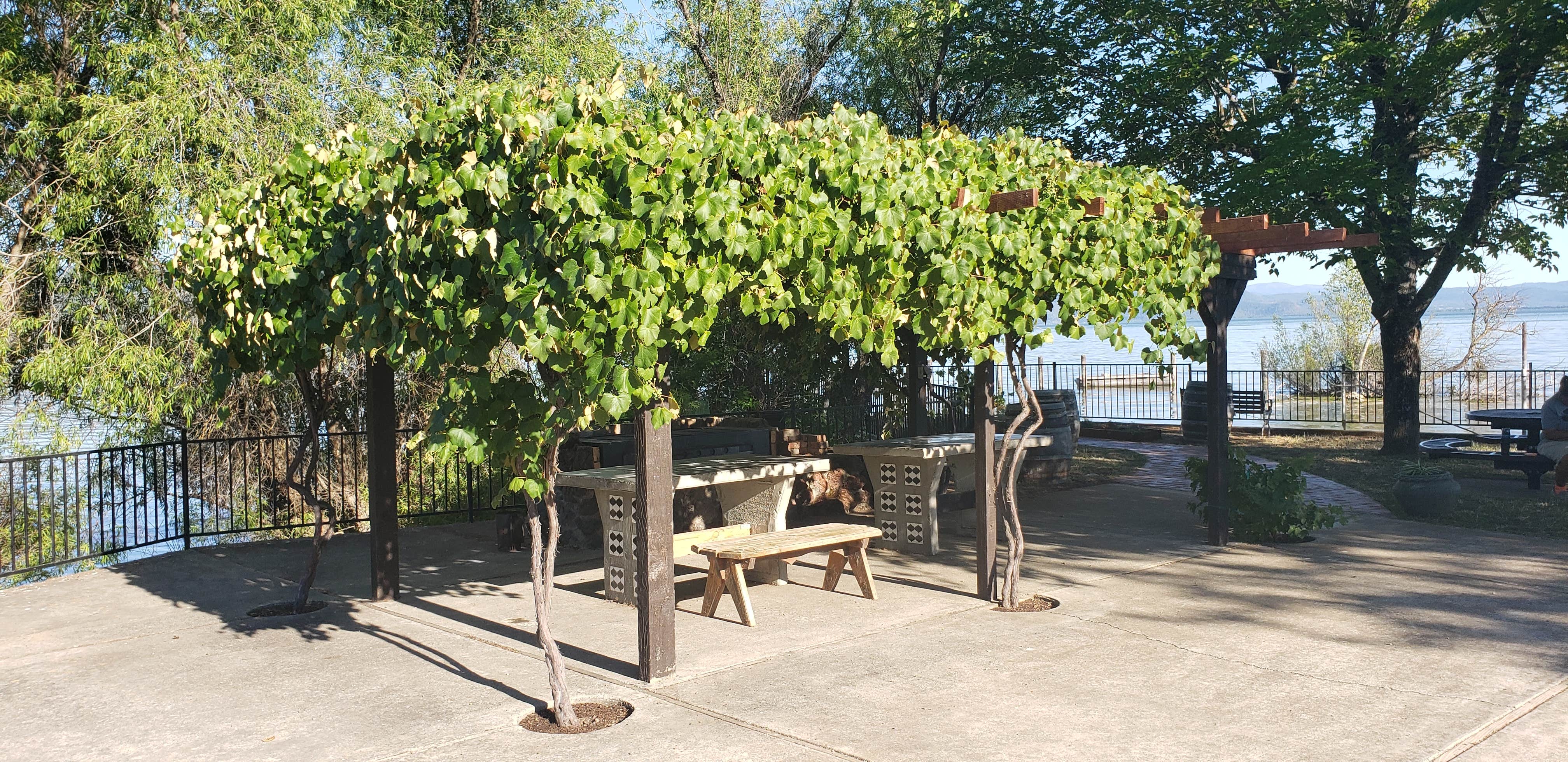Camper-submitted photo at The Aurora RV Park & Marina near Geyserville, CA