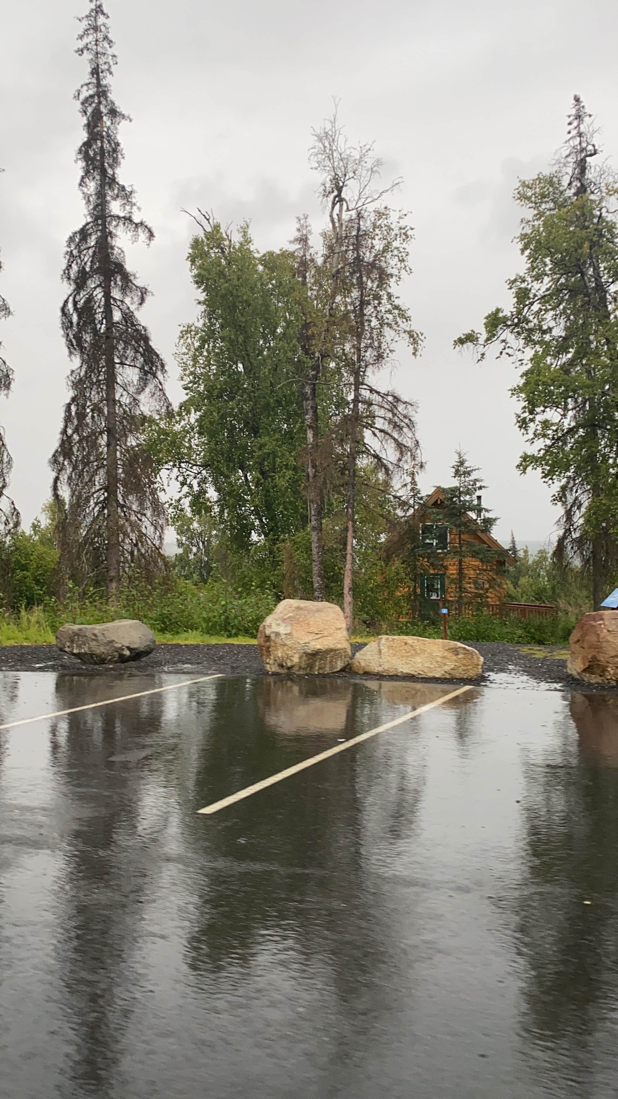 Camper-submitted photo at K’esugi Ken Campground near Trapper Creek, AK