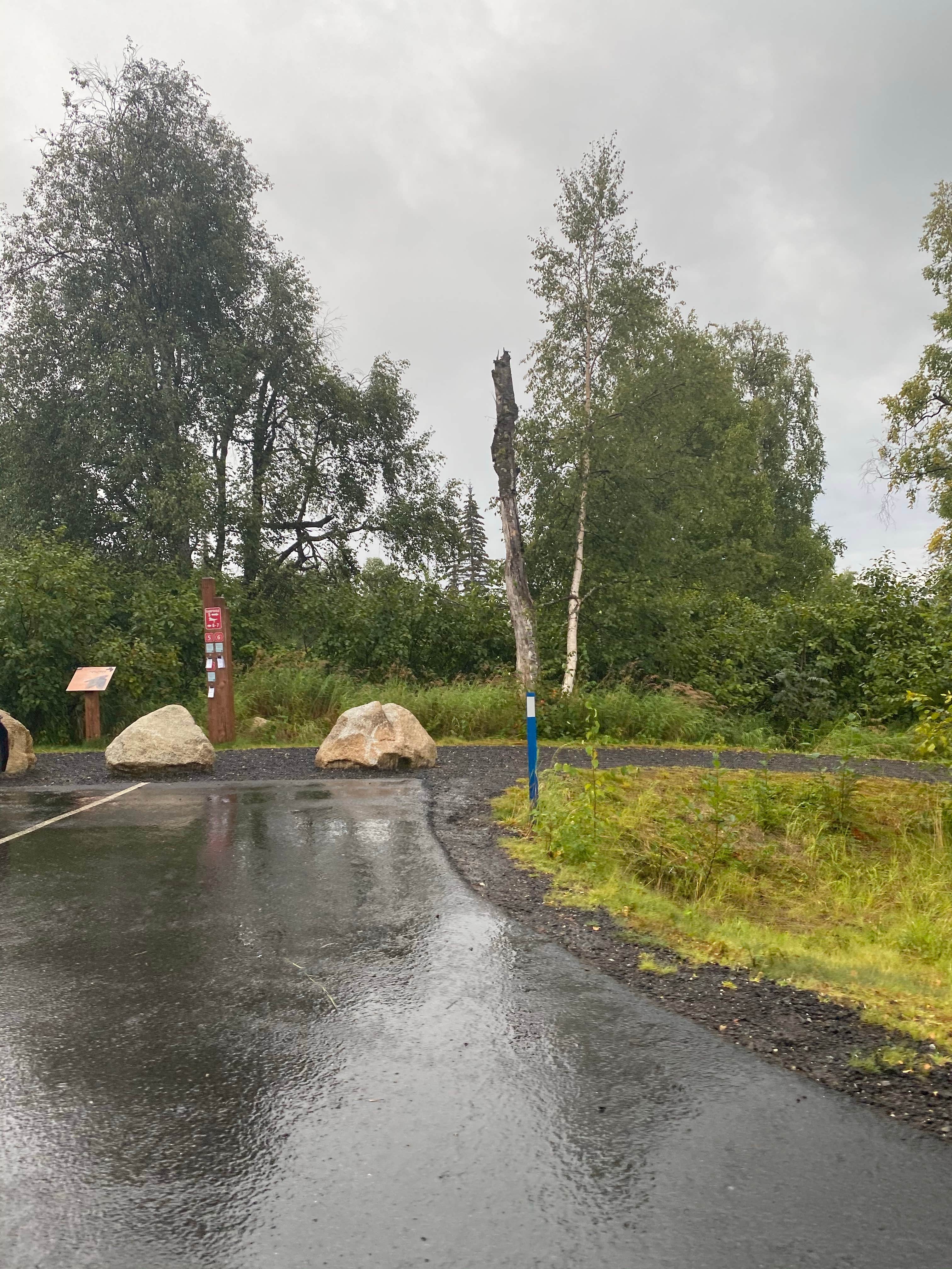 Tanya B.'s photo at K’esugi Ken Campground near Talkeetna, AK