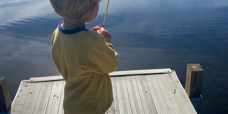 Camper submitted image from Parks Pond Campground