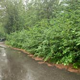 Review photo of Williwaw Campground by Tanya B., August 23, 2020