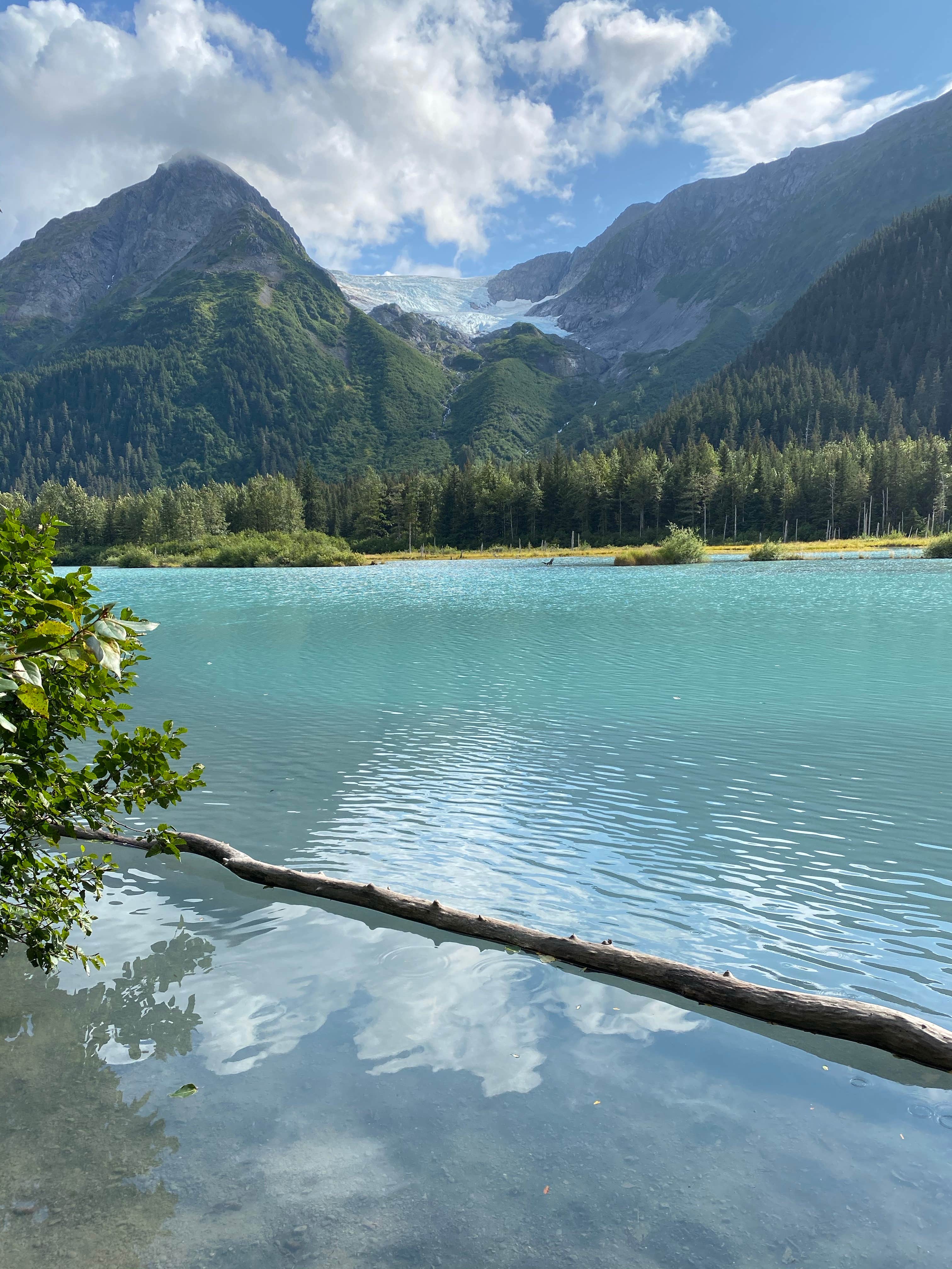 Camper-submitted photo at Black Bear Campground — Chugach National Forest near Whittier, AK