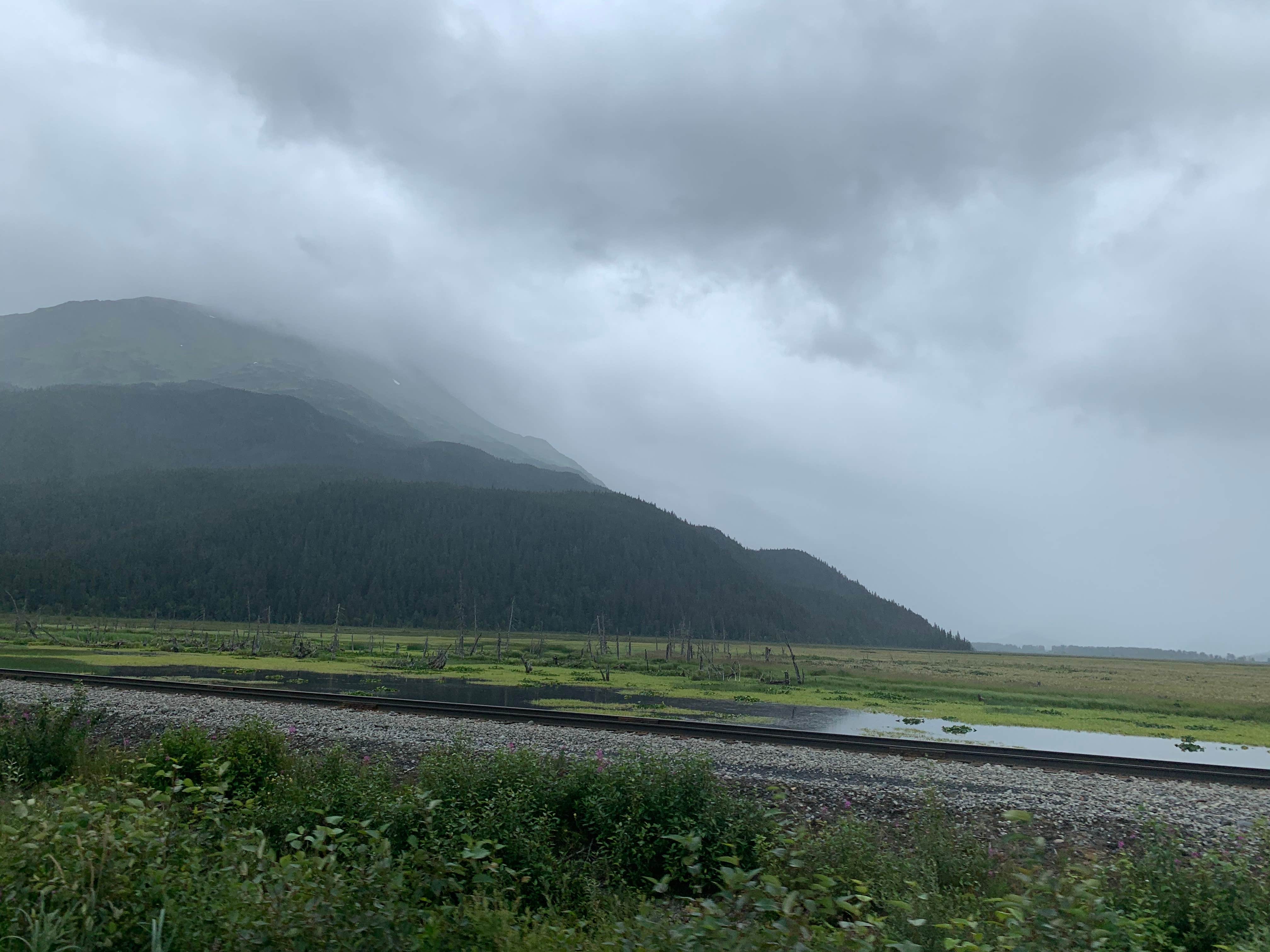 Camper-submitted photo at Black Bear Campground — Chugach National Forest near Whittier, AK