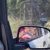 Review photo of Riley Creek Campground — Denali National Park by Tanya B., August 23, 2020