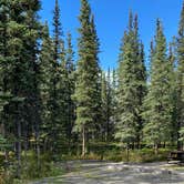 Review photo of Riley Creek Campground — Denali National Park by Tanya B., August 23, 2020