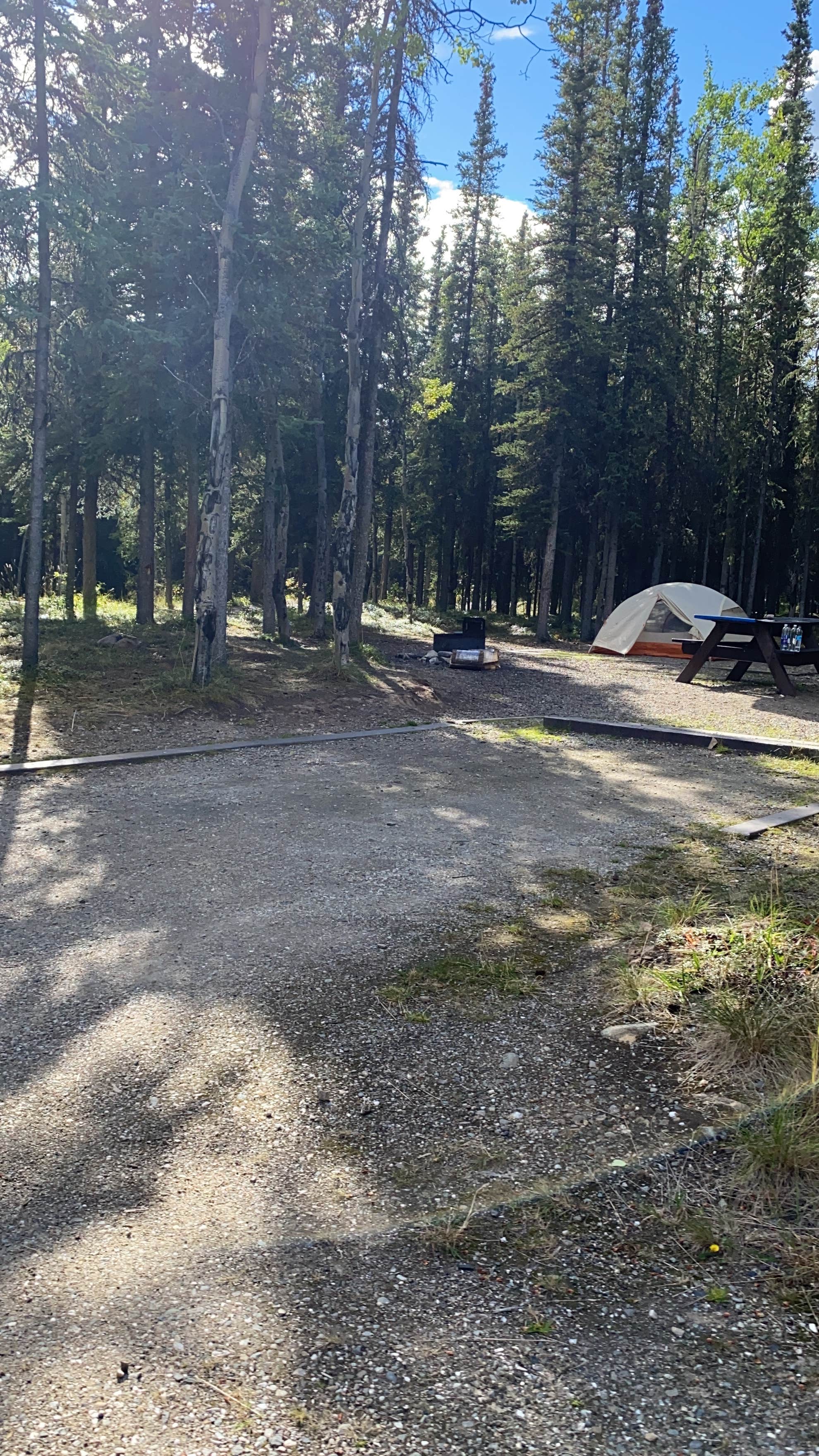 Tanya B.'s photo at Riley Creek Campground — Denali National Park in Alaska