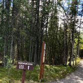 Review photo of Riley Creek Campground — Denali National Park by Tanya B., August 23, 2020