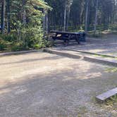 Review photo of Riley Creek Campground — Denali National Park by Tanya B., August 23, 2020