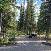 Review photo of Riley Creek Campground — Denali National Park by Tanya B., August 23, 2020