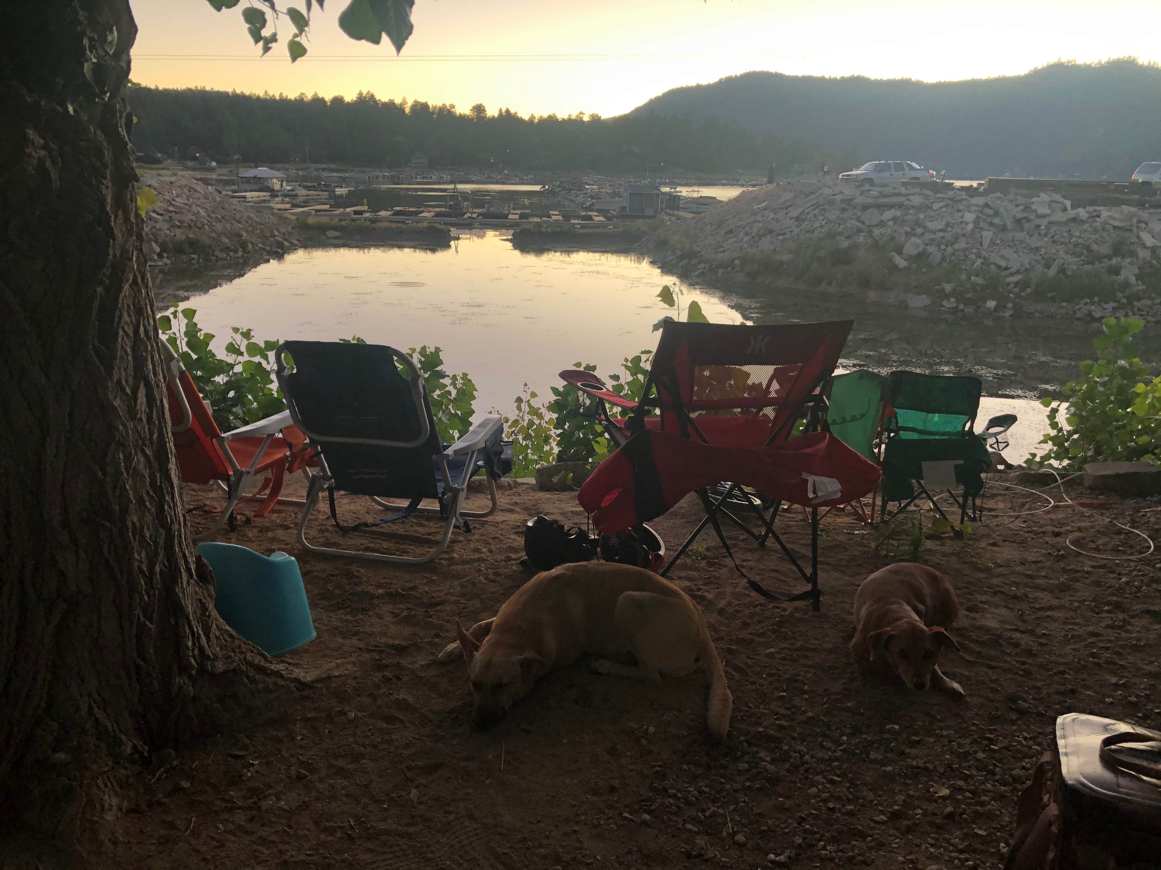 Camper submitted image from Holloway's Marina & RV Park - 2