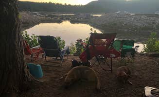 Kevin B.'s photo of camping with pets at Holloway's Marina & RV Park near Blue Jay, CA