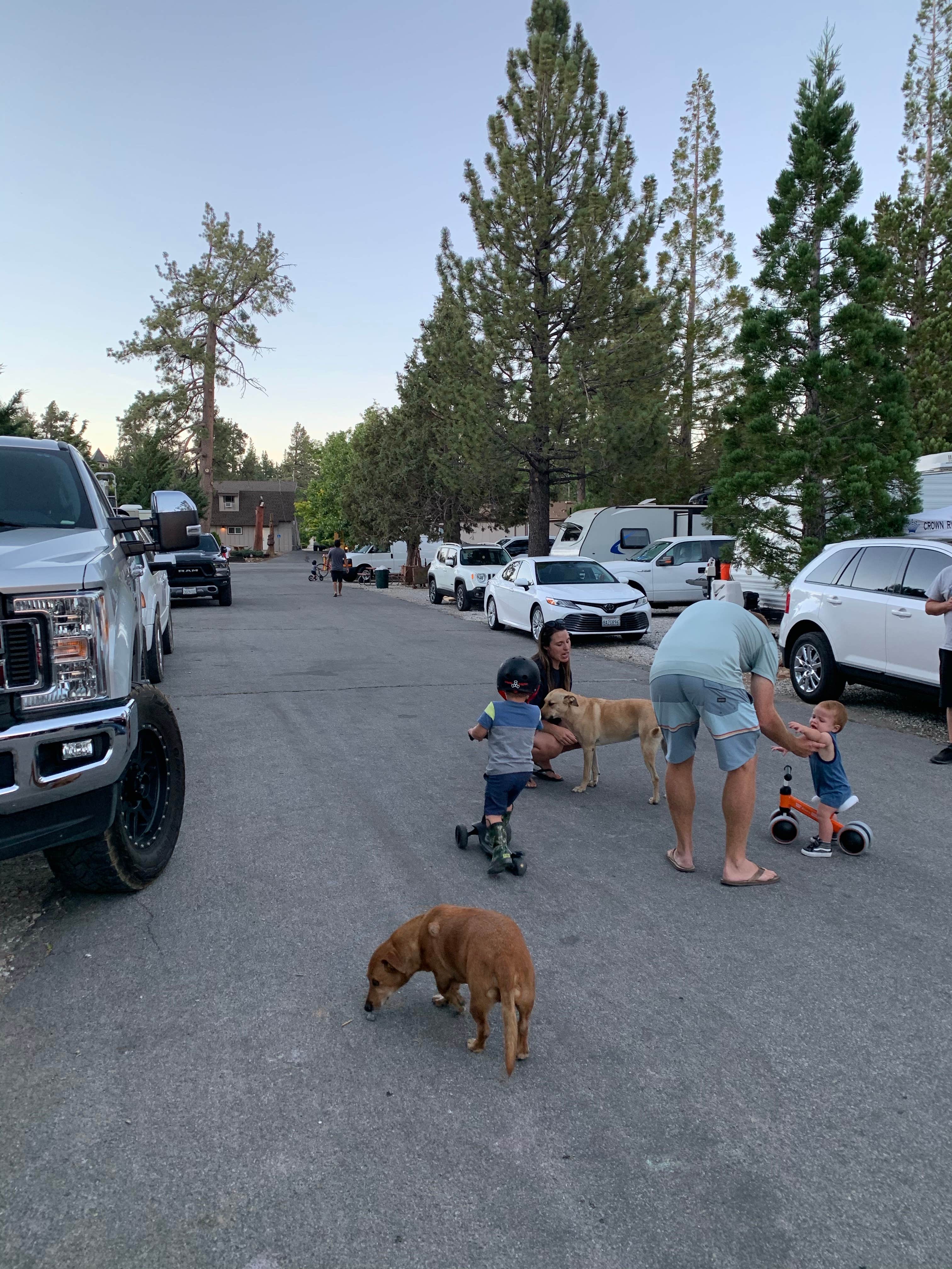 Camper submitted image from Holloway's Marina & RV Park - 3