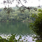Review photo of Vogel State Park Campground by Ashley S., July 6, 2016