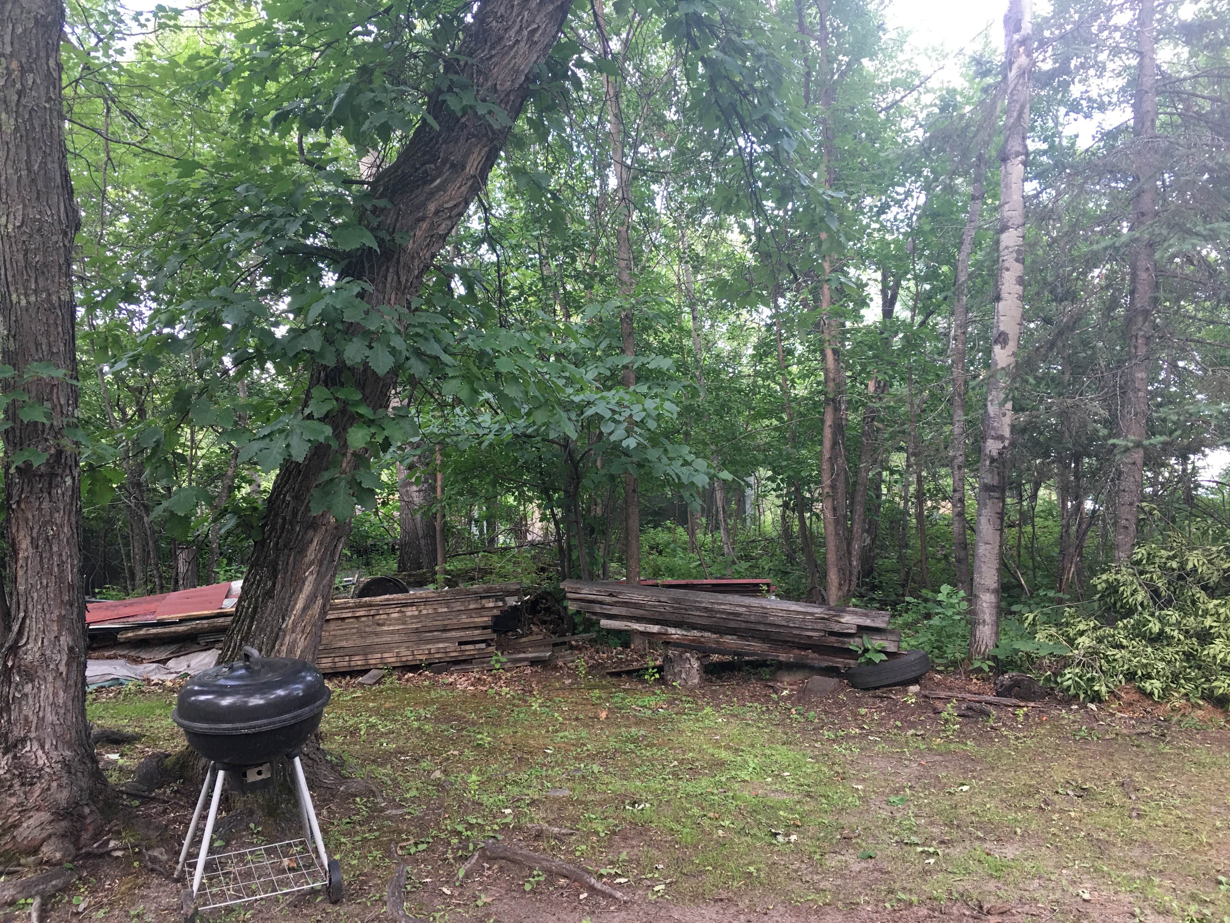 Camping near Arnold's Campground: Birch Grove Resort, Voyageurs National Park, Minnesota