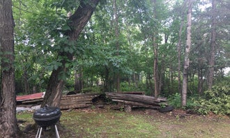 Camping near Arnold's Campground: Birch Grove Resort, Voyageurs National Park, Minnesota