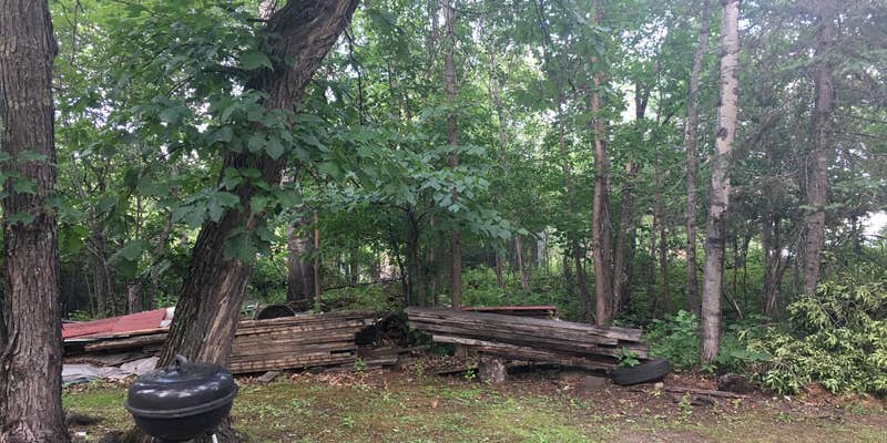 Camper submitted image from Birch Grove Resort