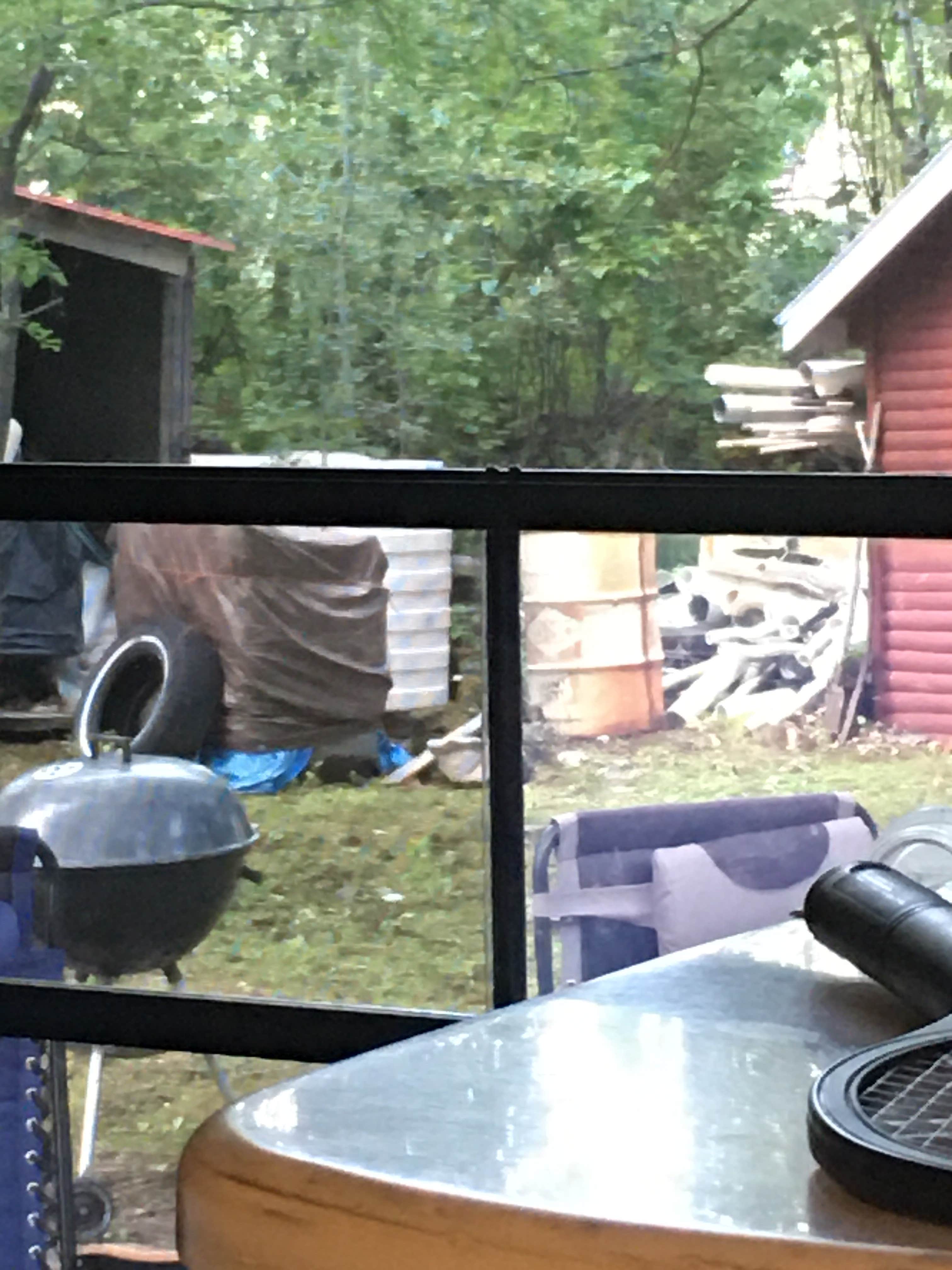 View from our camper inside the  front door