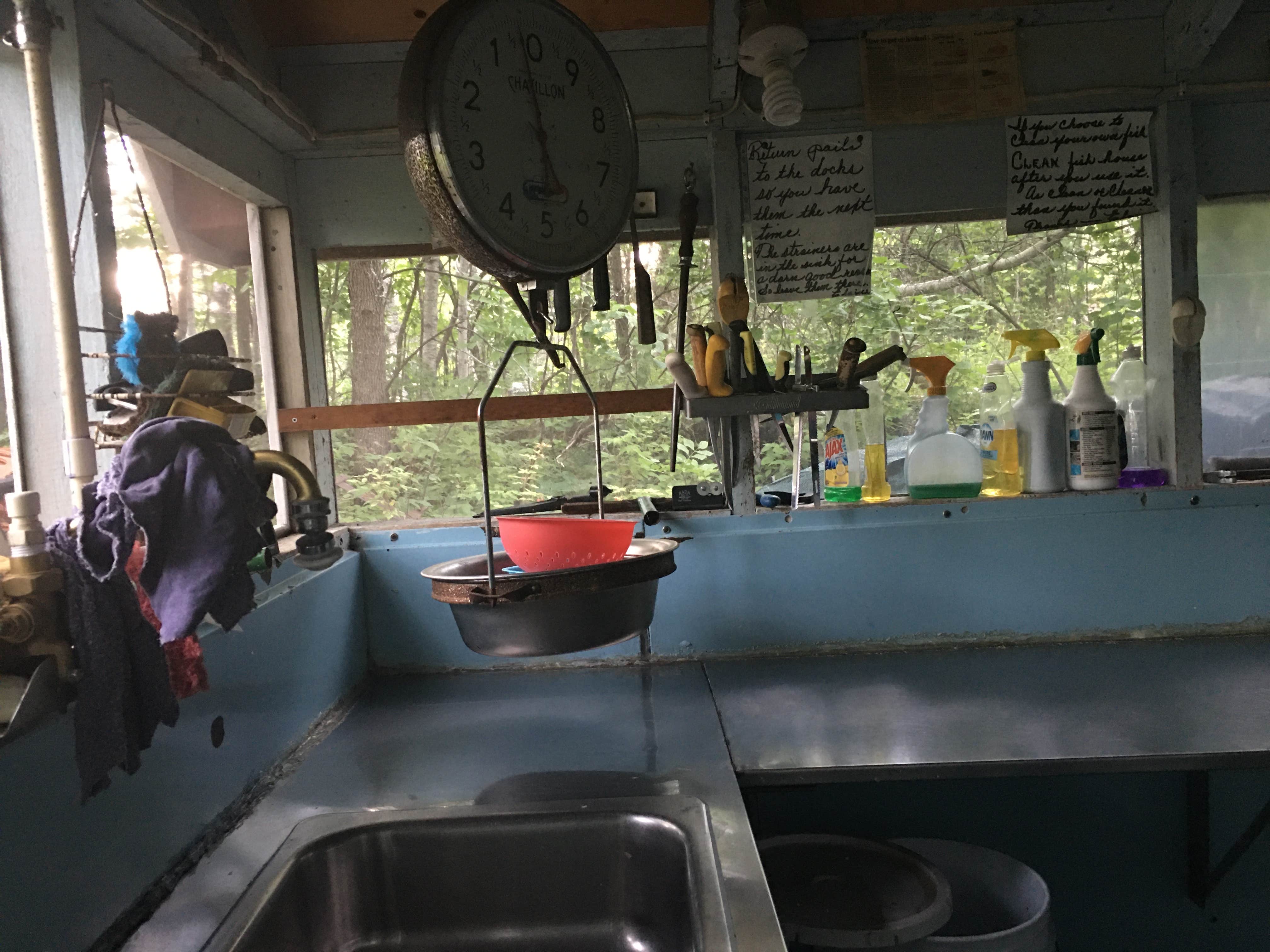 Nice fish cleaning house