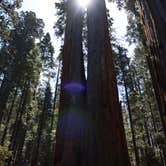 Review photo of North Grove Campground — Calaveras Big Trees State Park by Lindsay B., May 6, 2018