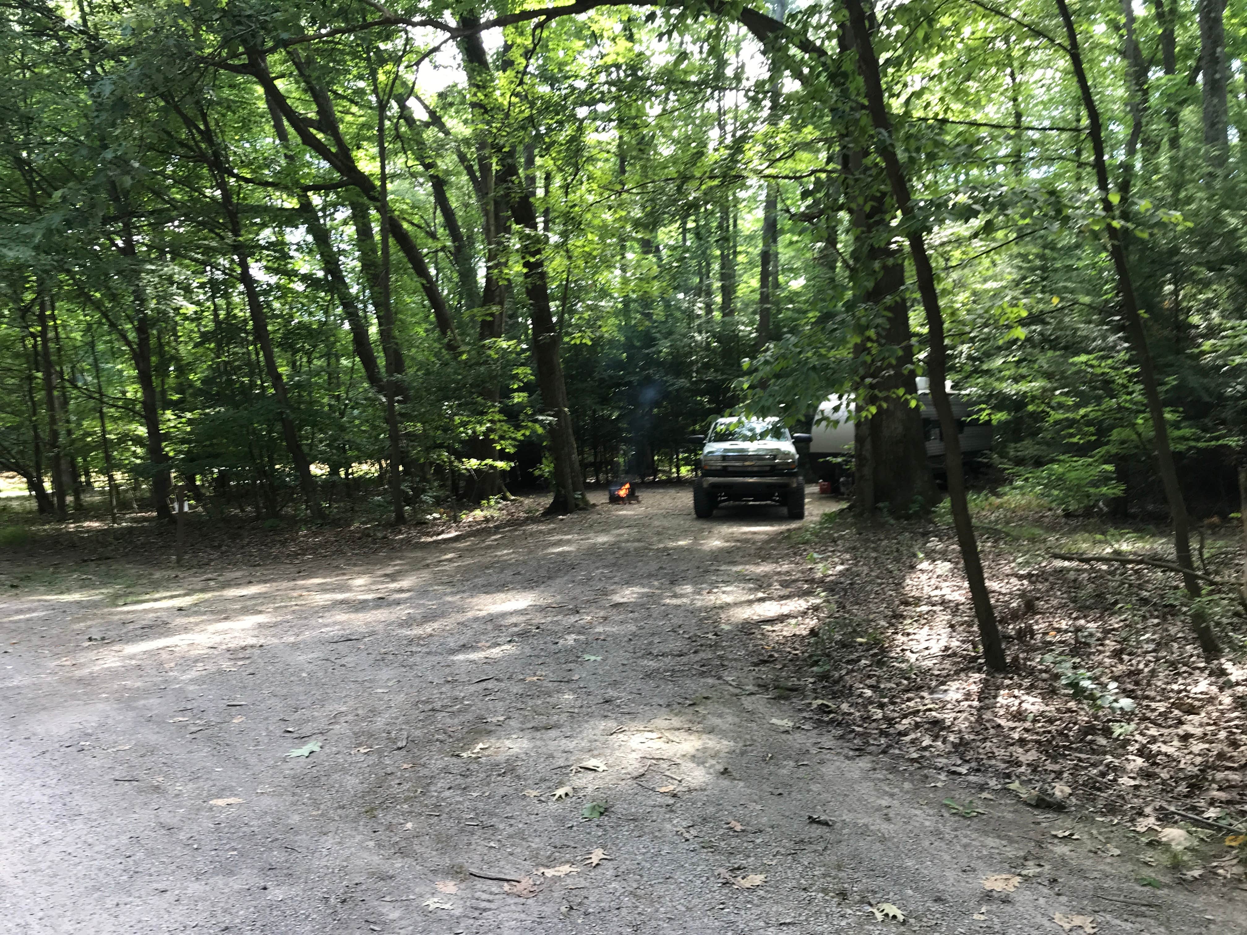 Hearts Content Recreation Area The Dyrt