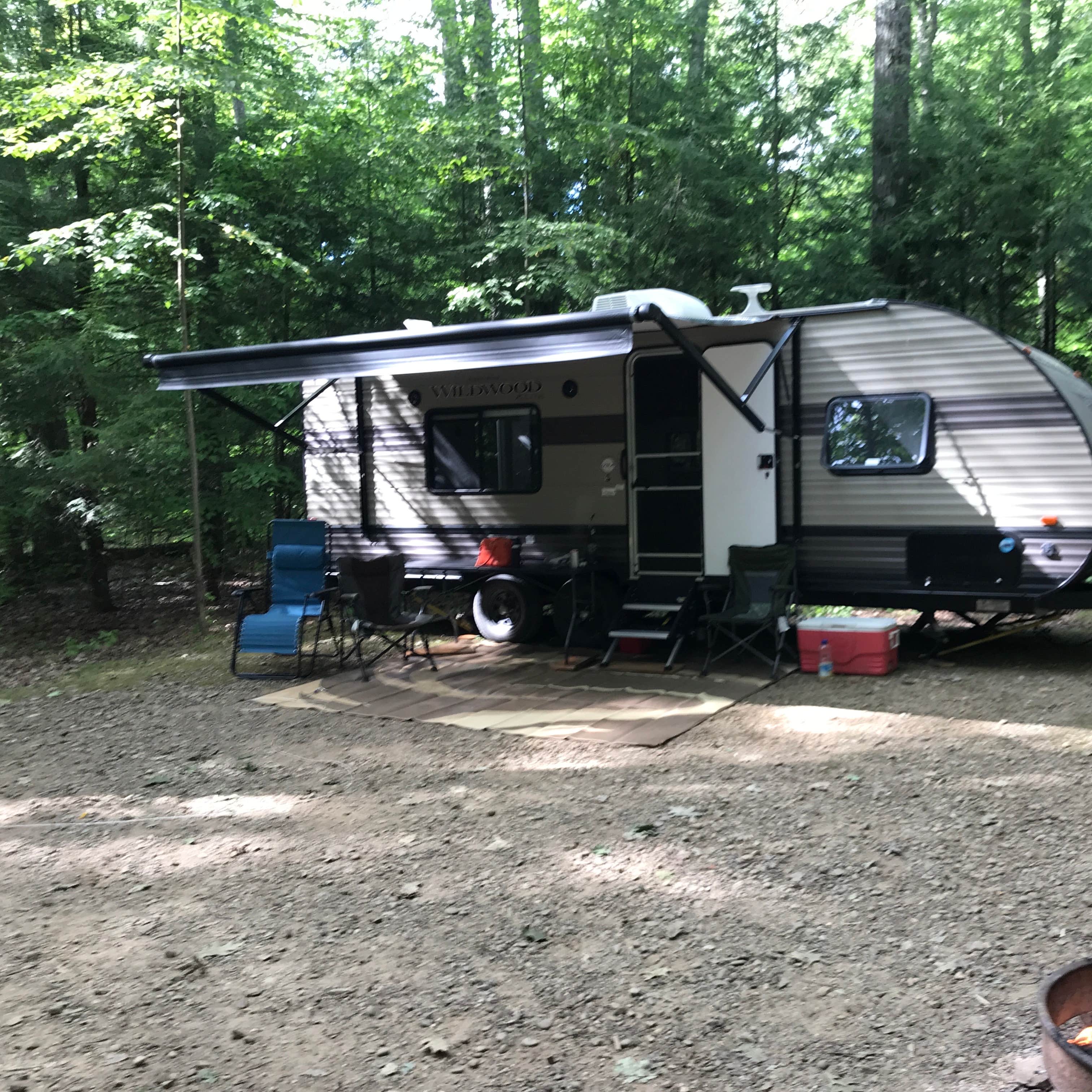 Hearts Content Recreation Area Camping The Dyrt