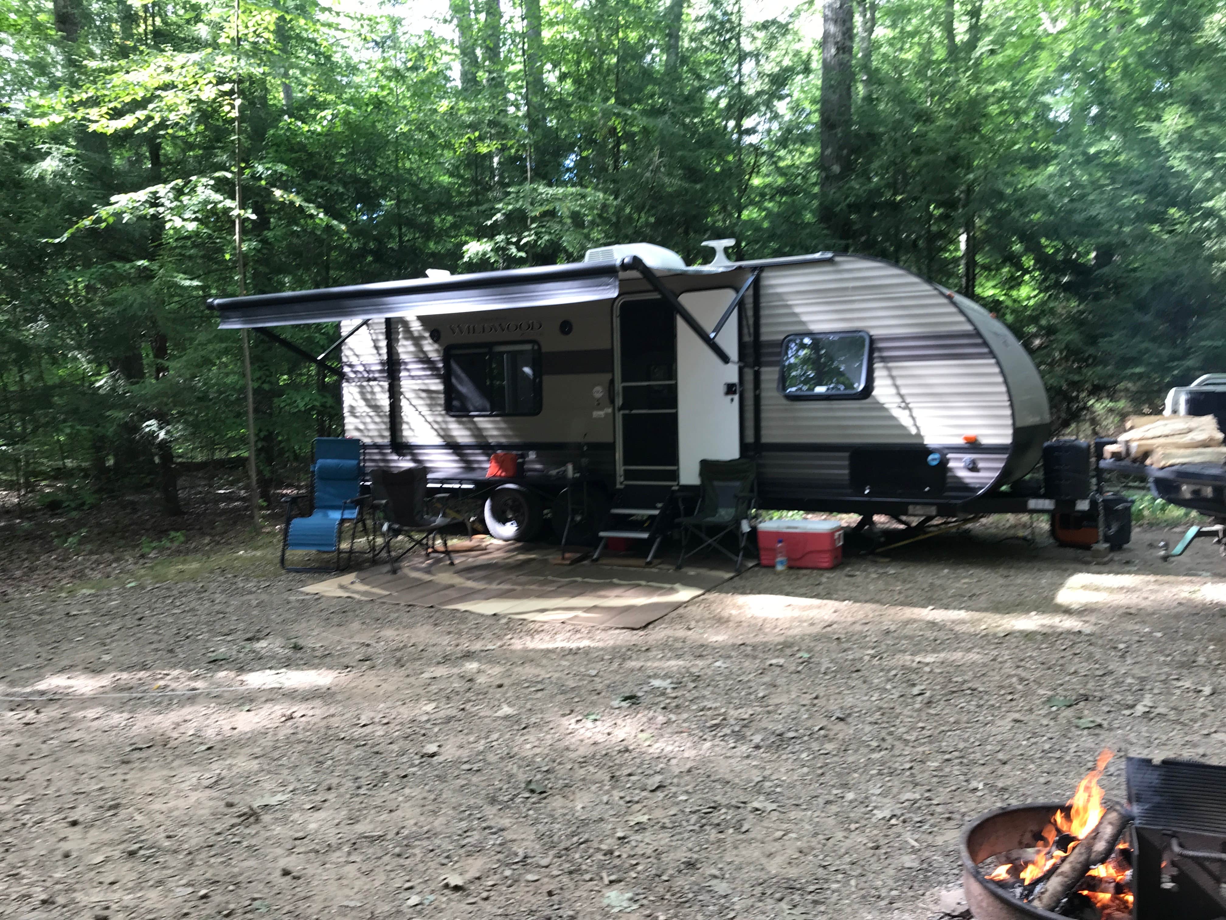 Camper submitted image from Hearts Content Recreation Area - 4