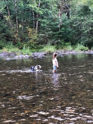 Todd W.'s photo of camping with pets at Beaver Campground near Cascade Locks, OR