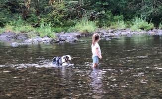 Todd W.'s photo of camping with pets at Beaver Campground near Cougar, WA