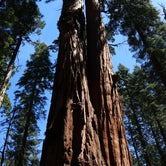 Review photo of Calaveras Big Trees State Park Campground by Lindsay B., May 6, 2018