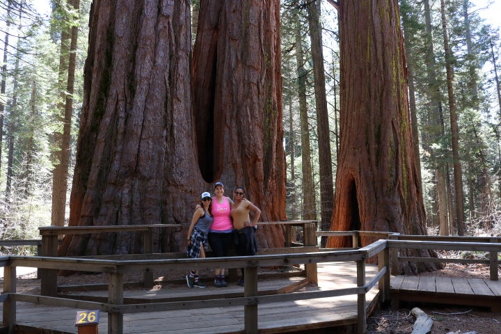 Camper submitted image from North Grove Campground — Calaveras Big Trees State Park - 5