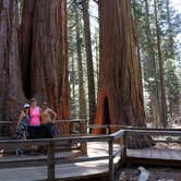 Review photo of North Grove Campground — Calaveras Big Trees State Park by Lindsay B., May 6, 2018