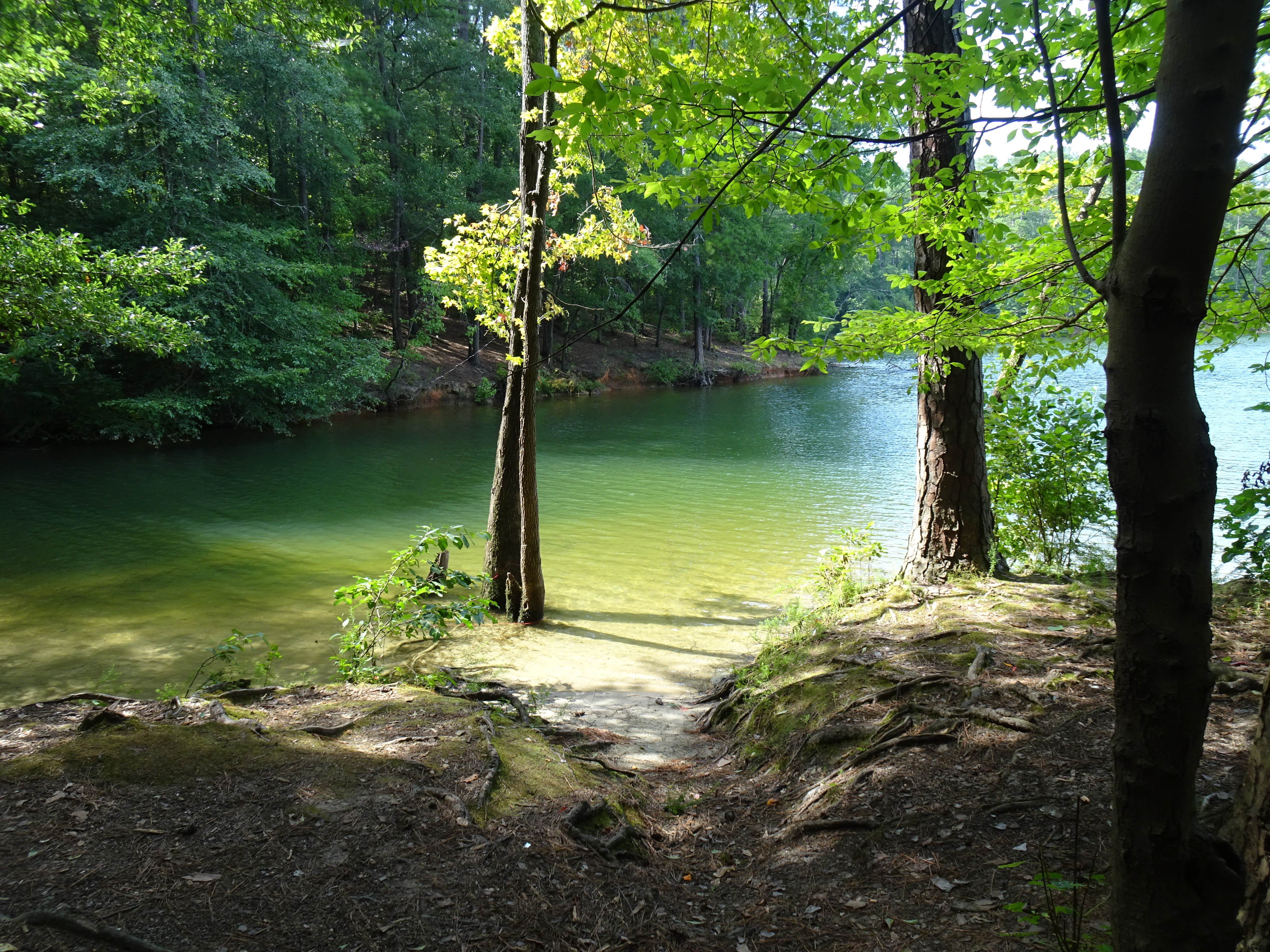 Camper-submitted photo at Mckaskey Creek Campground near Rydal, GA