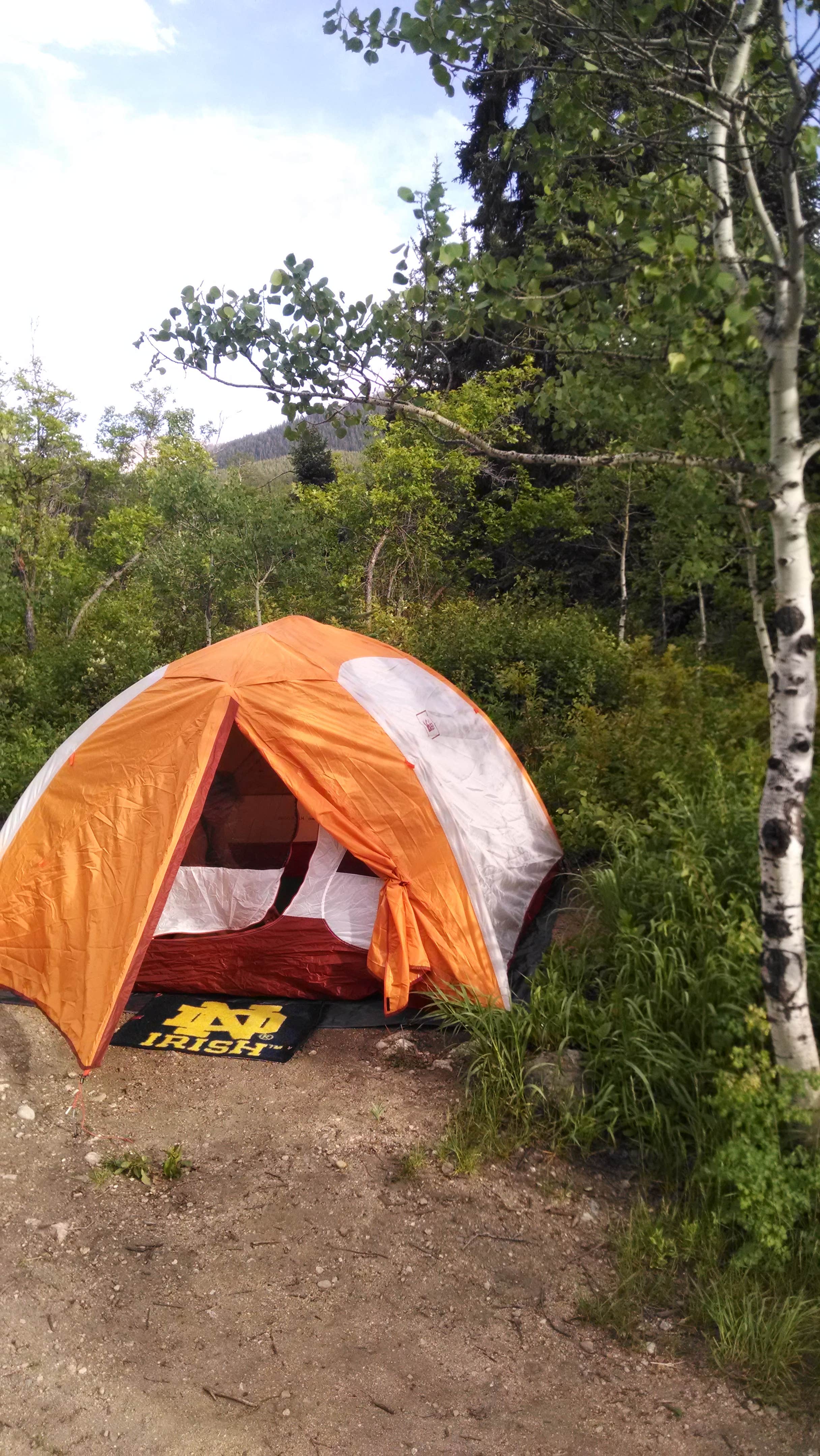 Thomas H.'s photo at Amphitheater Campground near Ouray, CO