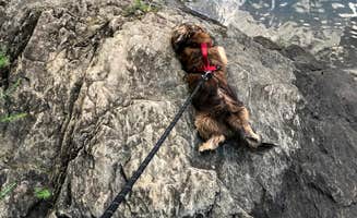 Annell N.'s photo of camping with pets at Mckaskey Creek Campground near Acworth, GA