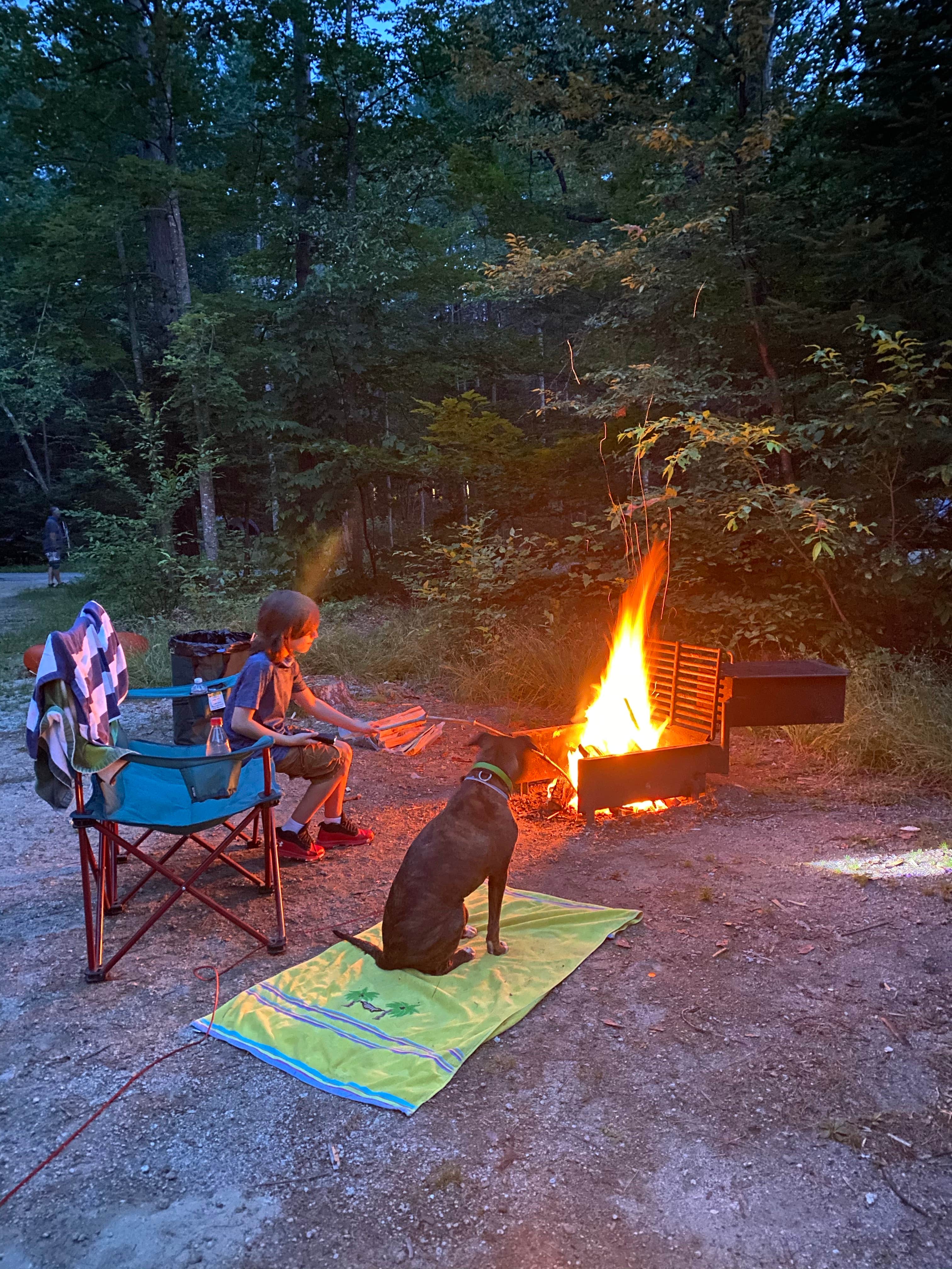 Sara C.'s photo of camping with pets at Jigger Johnson Campground near North Conway, NH